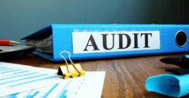 Cum poate fi definit un audit statutar