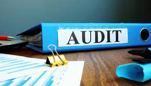 Cum poate fi definit un audit statutar