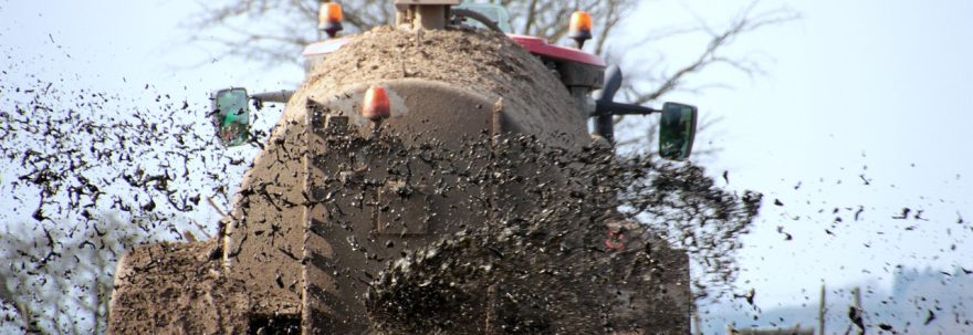 Îngrășăminte pentru legume
